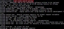 Linux系统下安装Go 1.18的命令